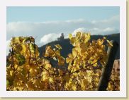 2005-11-01 16-29-17 Octobre 221,9mm 1_256_eme F6,0 * 2560 x 1920 * (2.19MB)